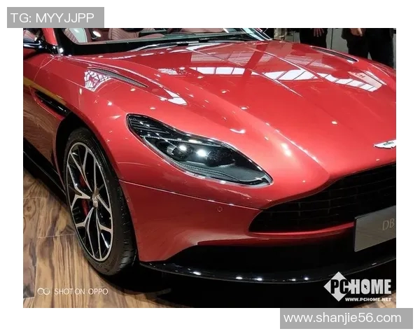 足球巨星驾宝马尽显风采 领略他们的速度与激情