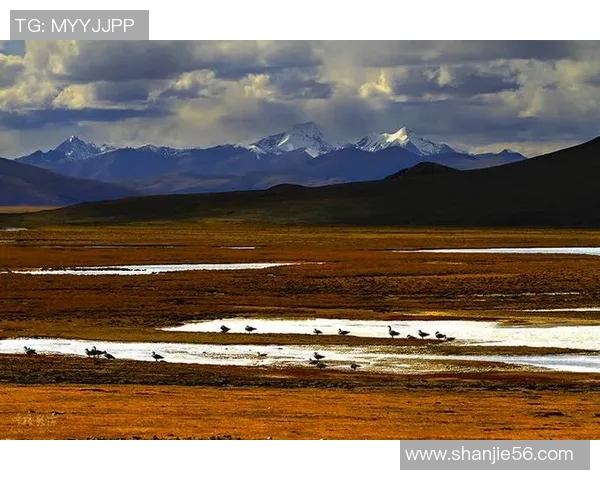 西藏昂仁足球球星成长之路与草原力量的精彩故事 西藏昂仁足球球星成长之路与草原力量的精彩故事