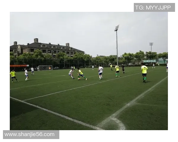 鸿雁伴飞 各国足球明星齐聚一堂 展现国界之间的运动魅力与合作精神 鸿雁伴飞 各国足球明星齐聚一堂 展现国界之间的运动魅力与合作精神